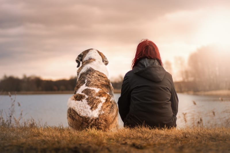 Positive Relationships